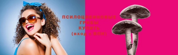 ПСИЛОЦИБИНОВЫЕ ГРИБЫ Михайловск