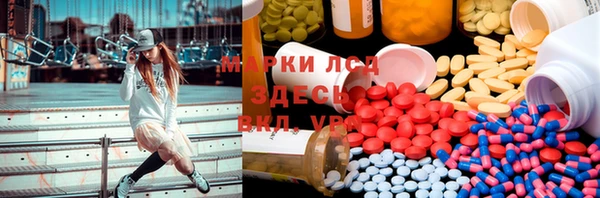 ПСИЛОЦИБИНОВЫЕ ГРИБЫ Михайловск