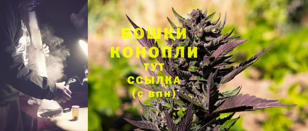 ПСИЛОЦИБИНОВЫЕ ГРИБЫ Михайловск