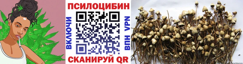 Галлюциногенные грибы мухоморы  Купить закладки  Сатка 